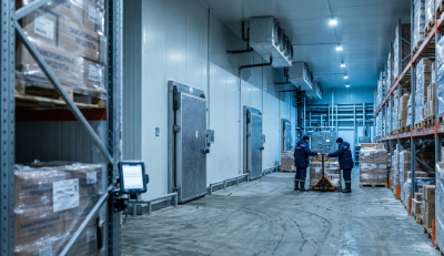 Производственная морозильная камера (-18…-25°С)