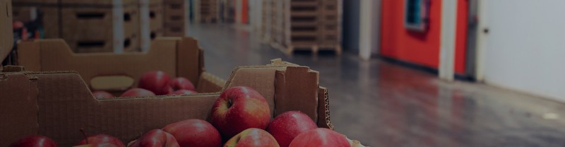 Планировка и зонирование складских помещений