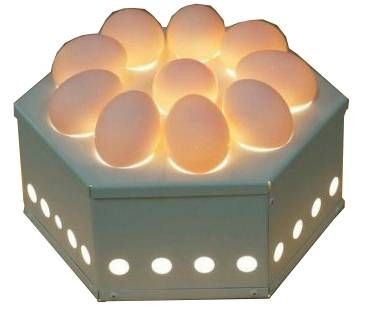 ОВОСКОП ITERMA EGG10 hladon