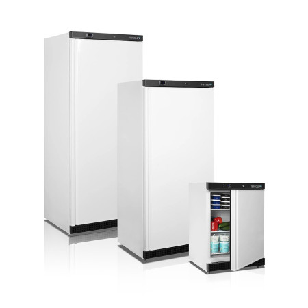Шкаф холодильный с глухой дверью Tefcold UR200 hladon